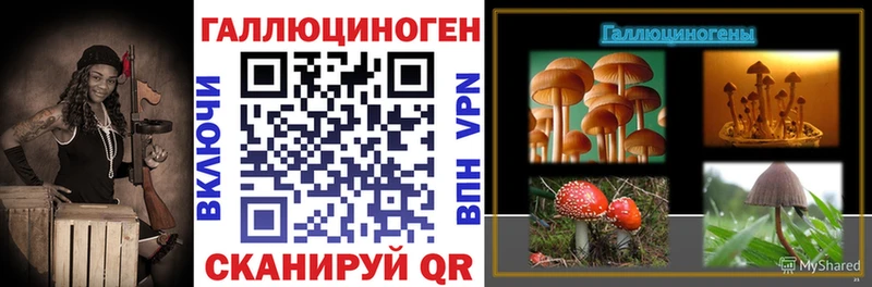 Псилоцибиновые грибы Psilocybine cubensis  Купить  Рубцовск 